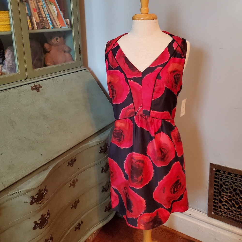 Rachel Roy Rose Dress